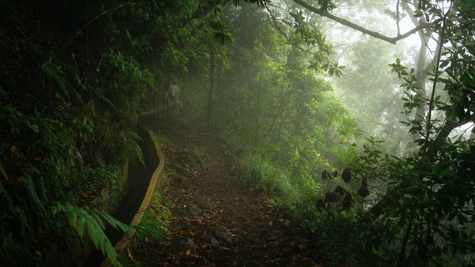 Levadas, whater channel Madeira a treasure from Atlantic archipelago